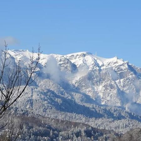 Sinaia Alpineview Residence Buitenkant foto