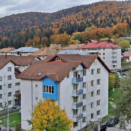 Sinaia Alpineview Residence Buitenkant foto