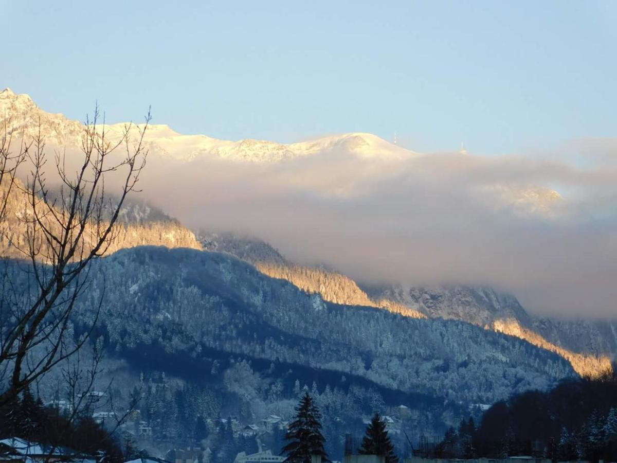 Sinaia Alpineview Residence Buitenkant foto