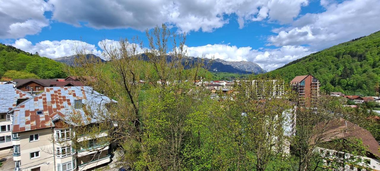 Sinaia Alpineview Residence Buitenkant foto