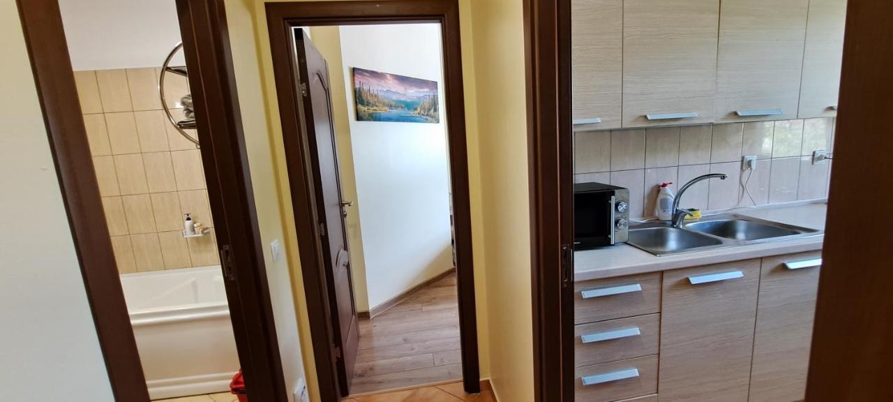 Sinaia Alpineview Residence Buitenkant foto