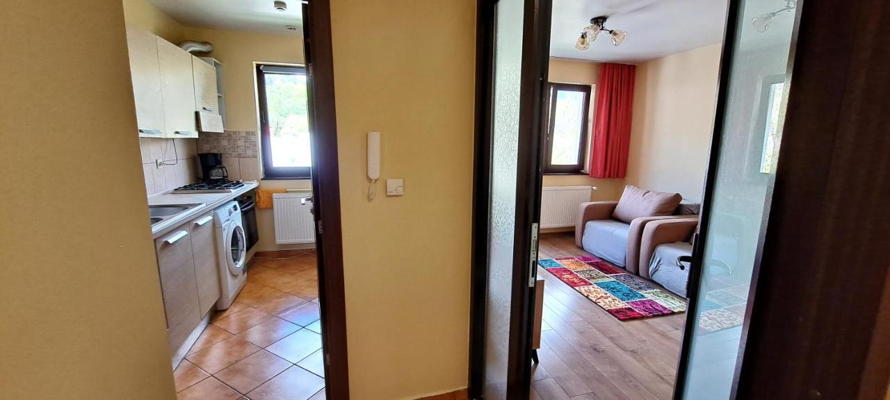 Sinaia Alpineview Residence Buitenkant foto