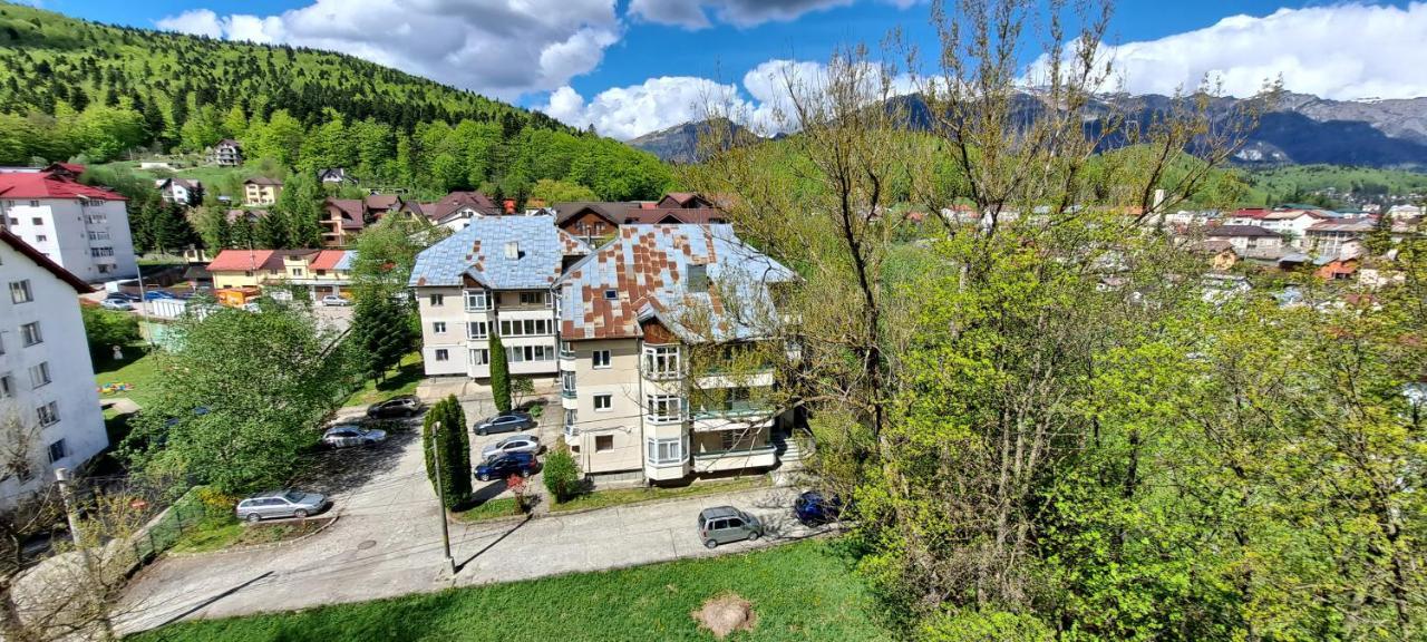 Sinaia Alpineview Residence Buitenkant foto